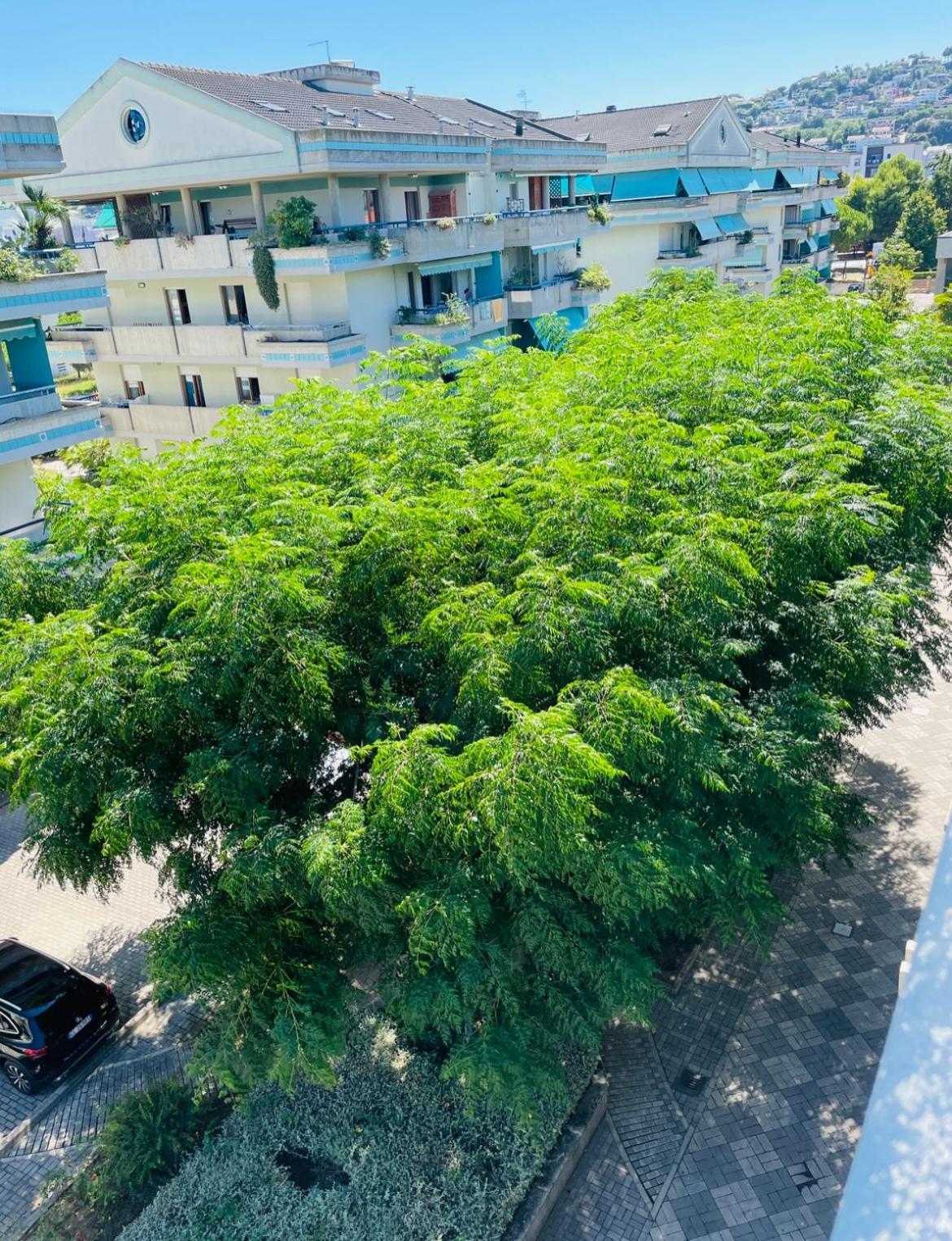 Attico Vista E Fronte Mare Zaffiroblu Con Posto Auto Appartement Montesilvano Marina Buitenkant foto